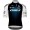Heren Fietskleding Q36.5 Pro Cycling Team 2025 Gregorius Pro Jersey