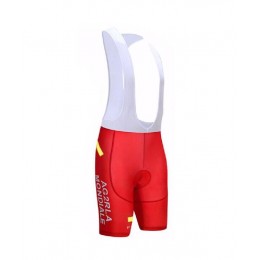 2017 Ag2r Wielershirt Korte Fietsbroeken Bib